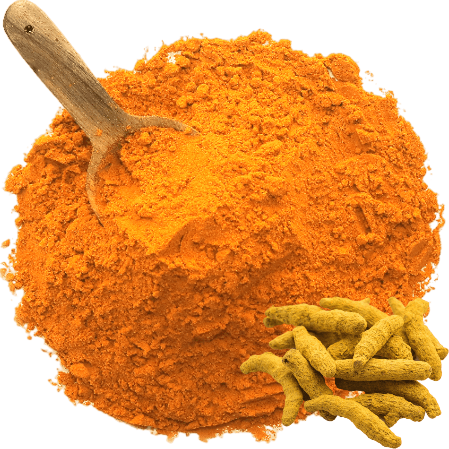 Rajapuri Turmeric Powder